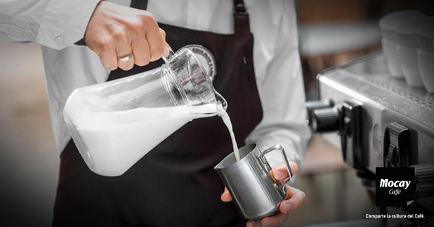 Cómo elegir la tetera perfecta para tu cafetería • Pascual Profesional